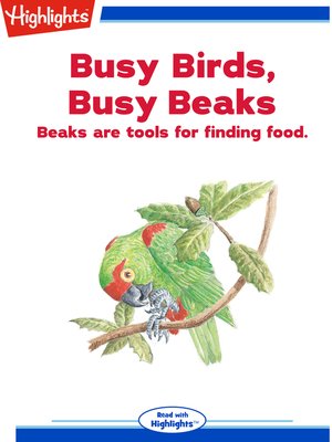 cover image of Busy Birds, Busy Beaks